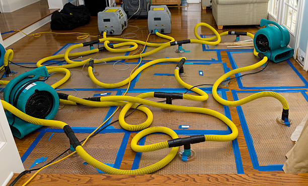 Professional Flood Damage Restoration technician working in Silver Lake, KS